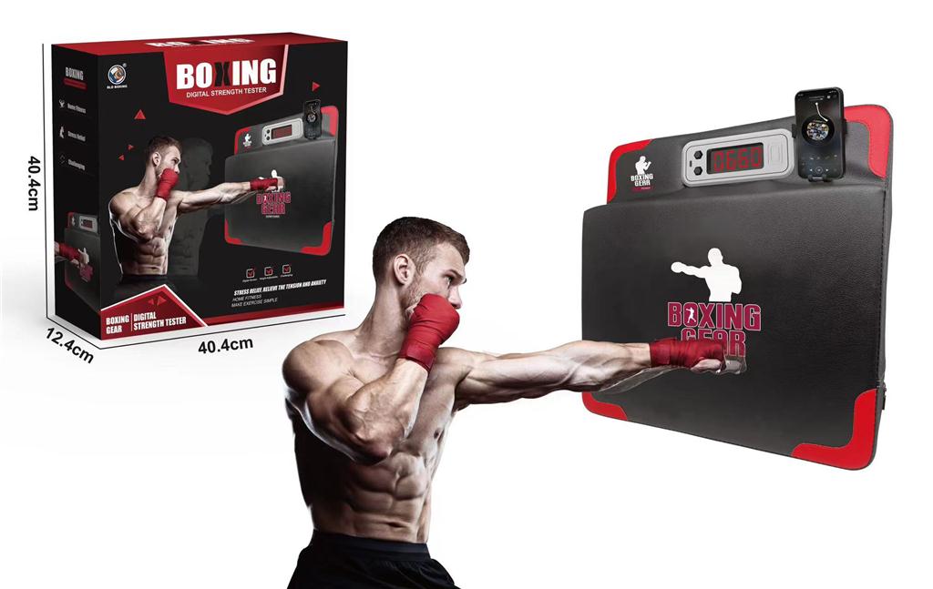 Țintă de box B4018