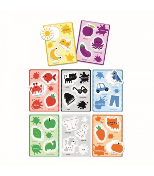 Recunoasterea Culorilor 1024-50262