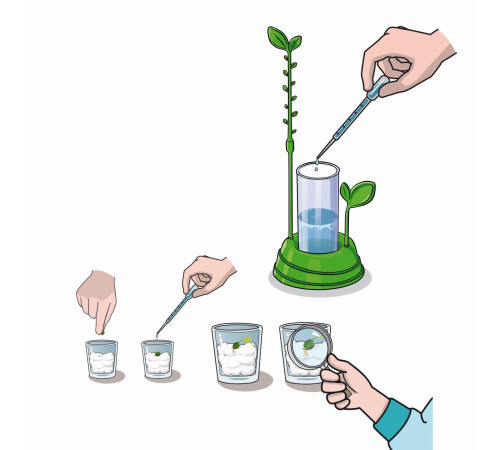 Laboratorul de știință și jocuri Laboratorul de știință și jocuri "Gradina Mea" (RO) 1026-50906