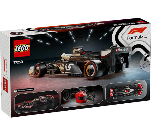 Constructor "MoneyGram Haas F1 Team VF-24" (263 el.), 77250