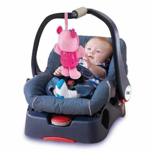 Ursulețul CORA, VT165756