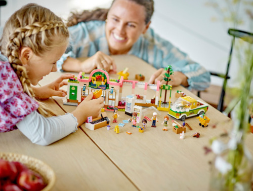 LEGO FRIENDS BACANIE ORGANICA, 41729