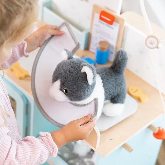 Set de joacă din lemn „Clinică veterinară” W10L016