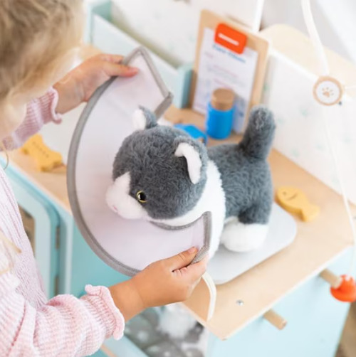 Set de joacă din lemn „Clinică veterinară” W10L016