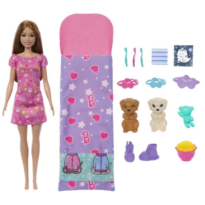 BARBIE PAPUSA BARBIE FAMILY SET PETRECERE CU 2 CATELUSI COLOR CHANGE, MTHXN01