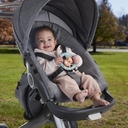 FISHER PRICE JUCARIE ZORNAITOARE SALAMANDRA, MTHRB19_HRB21