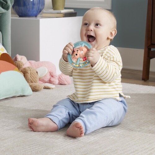 FISHER PRICE JUCARIE ZORNAITOARE SALAMANDRA, MTHRB19_HRB21