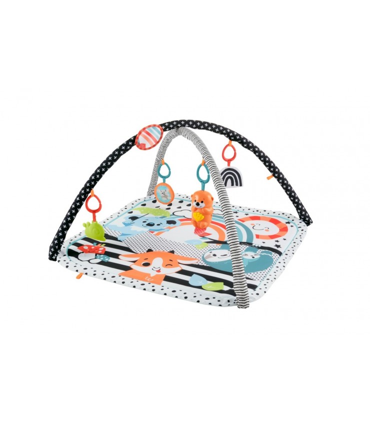 FISHER PRICE SALTEA MUZICALA 3 IN 1 CU CENTRU DE ACTIVITATI, MTHBP41