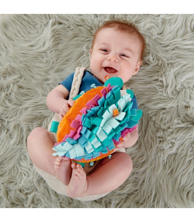 FISHER PRICE ARICIUL CU ACTIVITATI SENZORIALE, MTHBP42