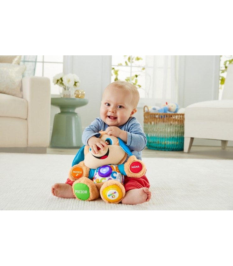 CATELUSUL VORBITOR SI EDUCATIV LIMBA ROMANA FISHER PRICE, MTFPN99