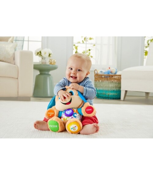 CATELUSUL VORBITOR SI EDUCATIV LIMBA ROMANA FISHER PRICE, MTFPN99