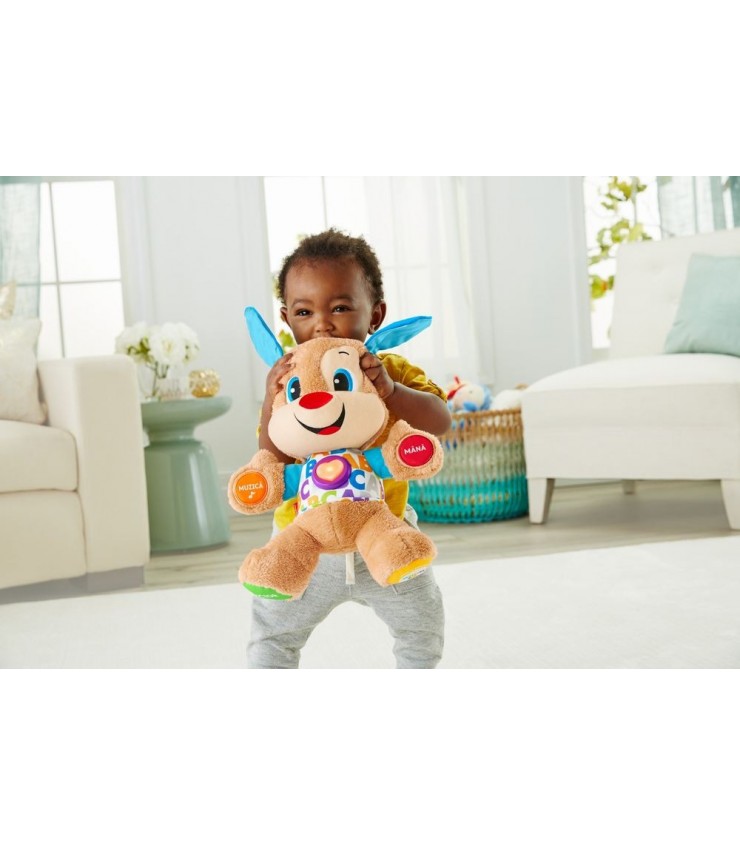 CATELUSUL VORBITOR SI EDUCATIV LIMBA ROMANA FISHER PRICE, MTFPN99