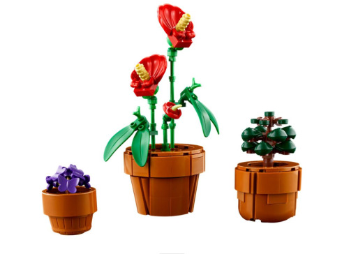 LEGO ICONS PLANTE DE MICI DIMENSIUNI,  10329