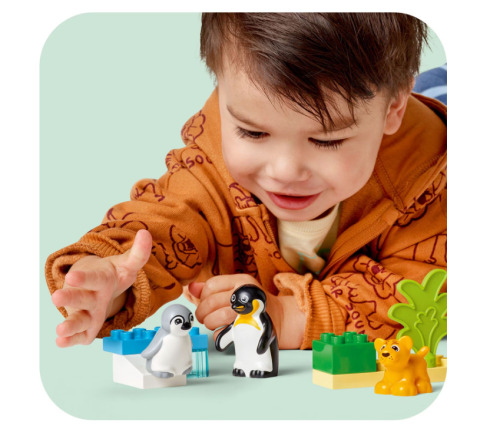 LEGO DUPLO FAMILII DE ANIMALE SALBATICE: PINGUINI SI LEI, 10442