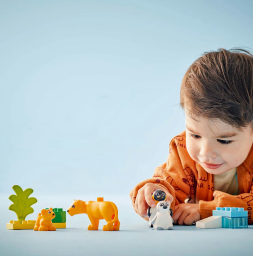 LEGO DUPLO FAMILII DE ANIMALE SALBATICE: PINGUINI SI LEI, 10442