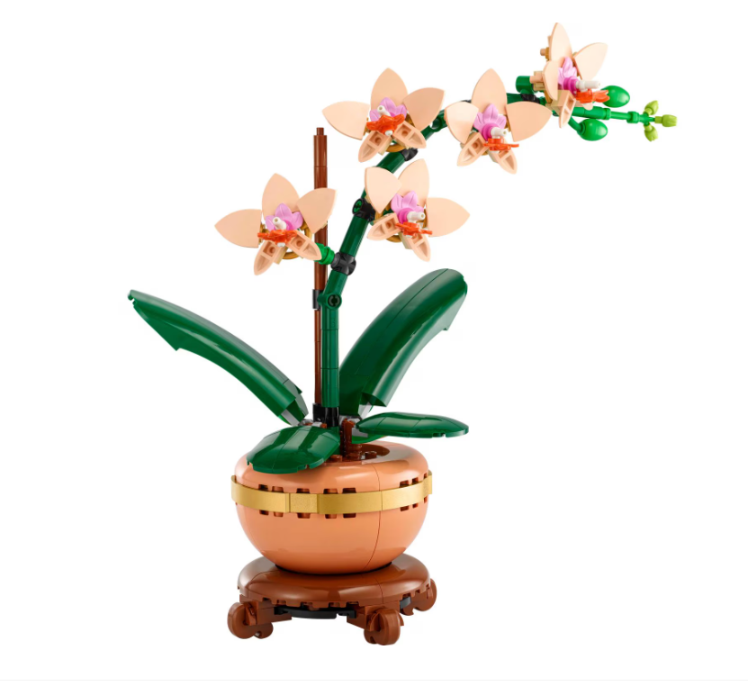 Миниатюрная орхидея LEGO BOTANICALS, 10343