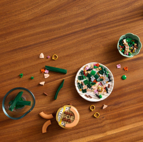 Миниатюрная орхидея LEGO BOTANICALS, 10343