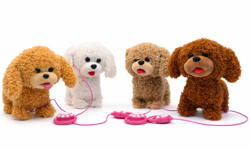 Jucărie interactivă pentru pudel cu lesă, AR010