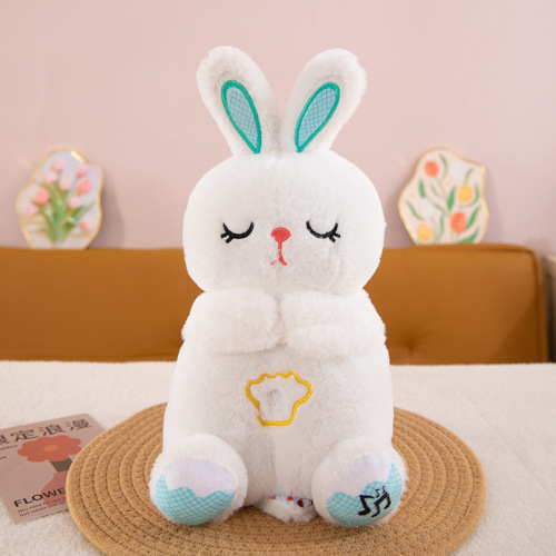 Iepuraș de pluș cu funcții, AR040