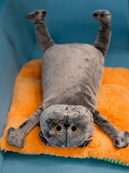 Jucăria de pluș cadou „Pisica Pilip”, BARS1_SU