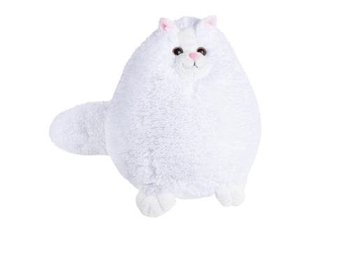 Кот Беляш, KAT01