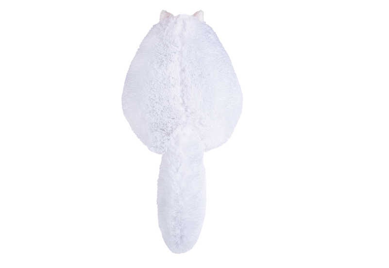 Кот Беляш, KAT01