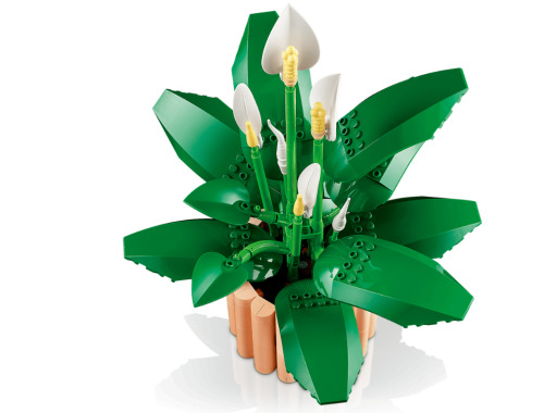 LEGO лилия спатифиллум, 11504