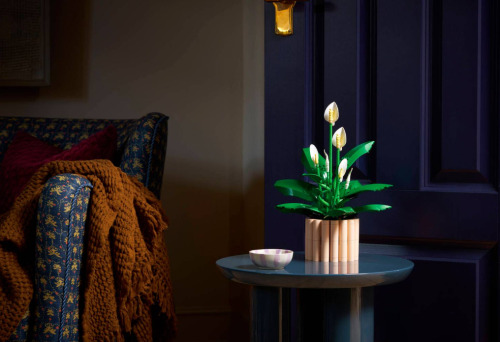 LEGO лилия спатифиллум, 11504