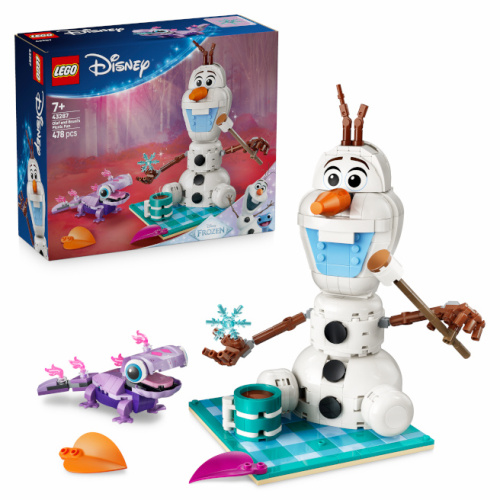 LEGO DISNEY FROZEN DISTRACTIE LA PICNIC CU OLAF SI BRUNI, 43287