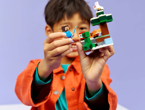 LEGO MINECRAFT AVENTURA DIN TAIGA A LUI STEVE, 21583