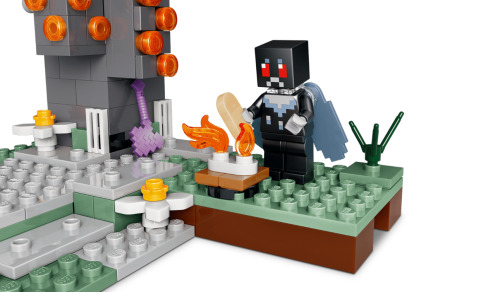 LEGO Minecraft Бледный сад, 21586