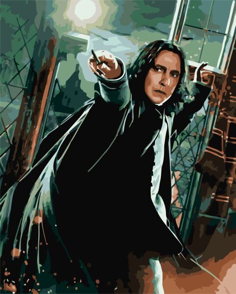 Pictura pe numere „Harry Potter: Severus Snape” 40*50 cm Origami, LW3101