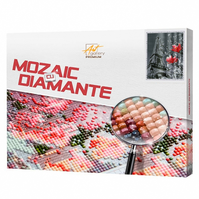 Mozaic cu diamante pătrate Paris gri și flori roșii, 40x50 cm, QB205512