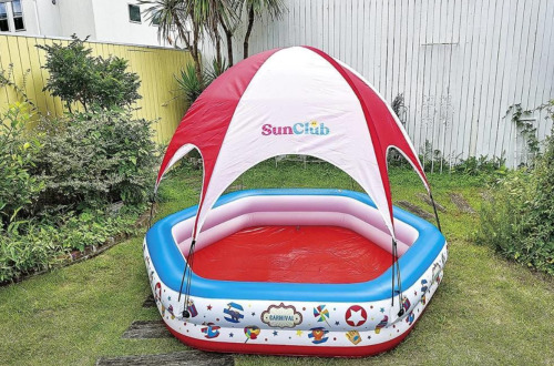 Piscina gonflabila cu baldachin, 223x208x163 cm, pana la 550 litri, 6+, 51124