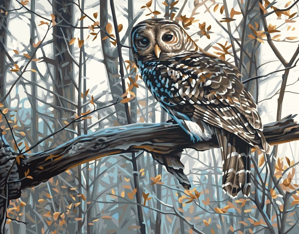 Картина по номерам Животные. Зимняя сова 40*50 Origami, LW3265