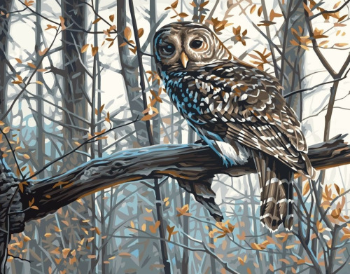 Pictura pe numere Animale. Bufnita de iarna 40*50 Origami, LW3265