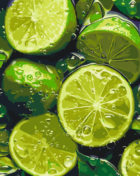 Pictura pe numere Natura statica. Lime suculent 40*50 Origami, LW3440