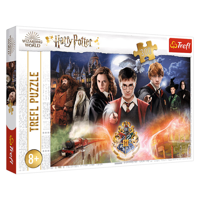 Secretul lui Harry Potter, 300 elemente 23001