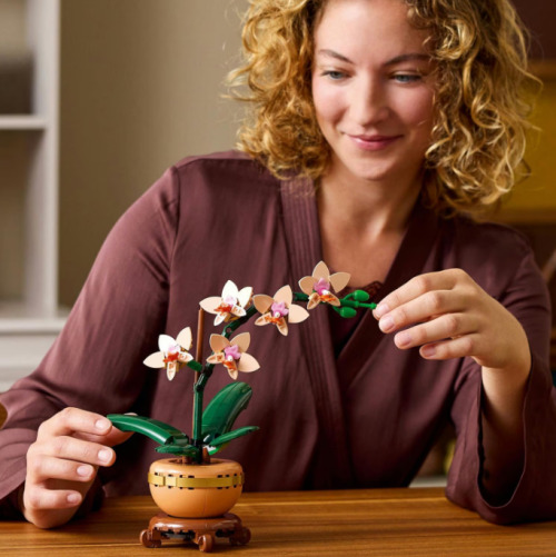 Миниатюрная орхидея LEGO BOTANICALS, 10343
