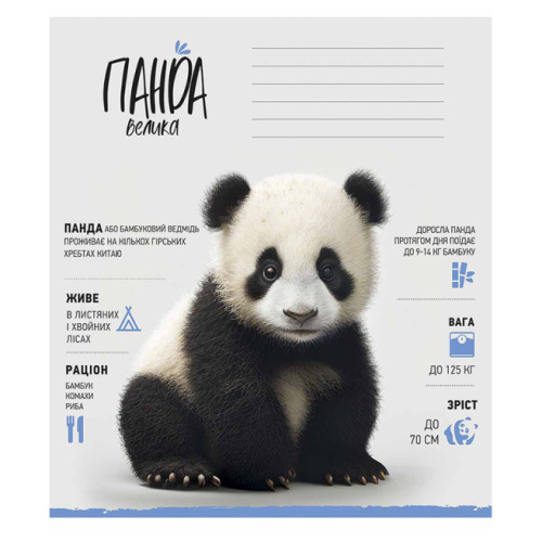 Тетрадь 12 листов, клетка, Школярик Wild world 012-3279K