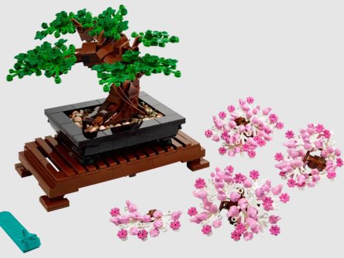 Конструктор Lego Botanical Collection: Bonsai Tree 10281