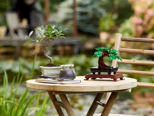 Конструктор Lego Botanical Collection: Bonsai Tree 10281