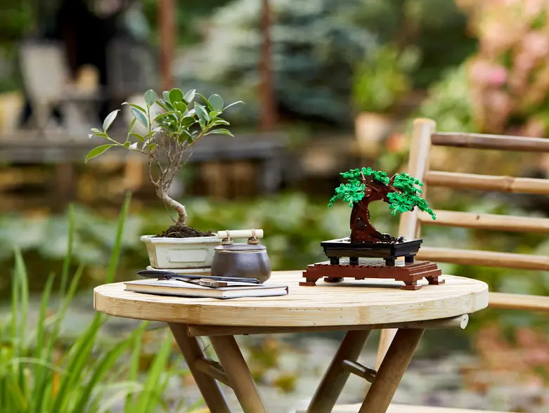 Конструктор Lego Botanical Collection: Bonsai Tree 10281