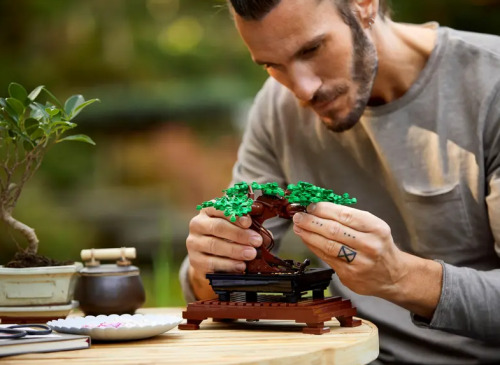 Конструктор Lego Botanical Collection: Bonsai Tree 10281