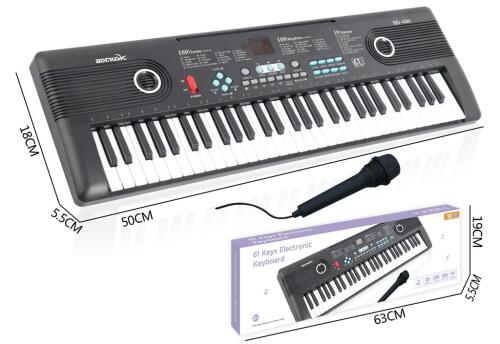 Cинтезатор (61 клавиша) + USB и микрофон R673